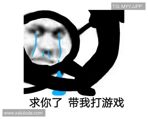 求你了别再让我被ban了英雄的心声与游戏的无奈