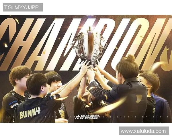 青春的旋律在金色雨中绽放追忆英雄联盟的热血岁月