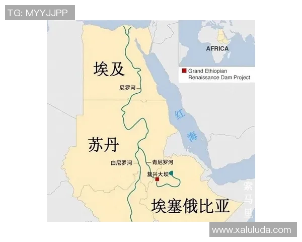 埃塞俄比亚复兴进程中的挑战与内部矛盾分析 埃塞俄比亚复兴进程中的挑战与内部矛盾分析